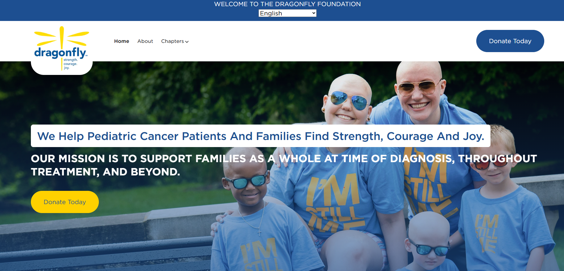 Dragonfly Foundation — portfolio project preview