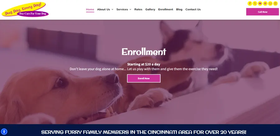 Dog Day, Every Day! project preview