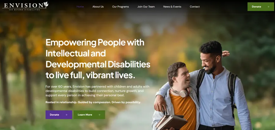 Envision project preview
