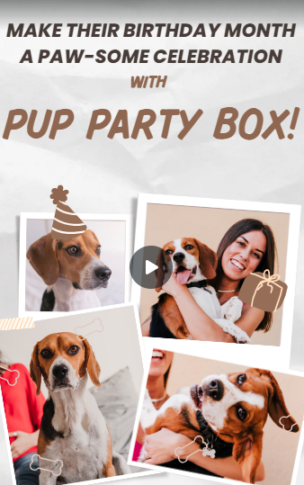 Pup Party Box