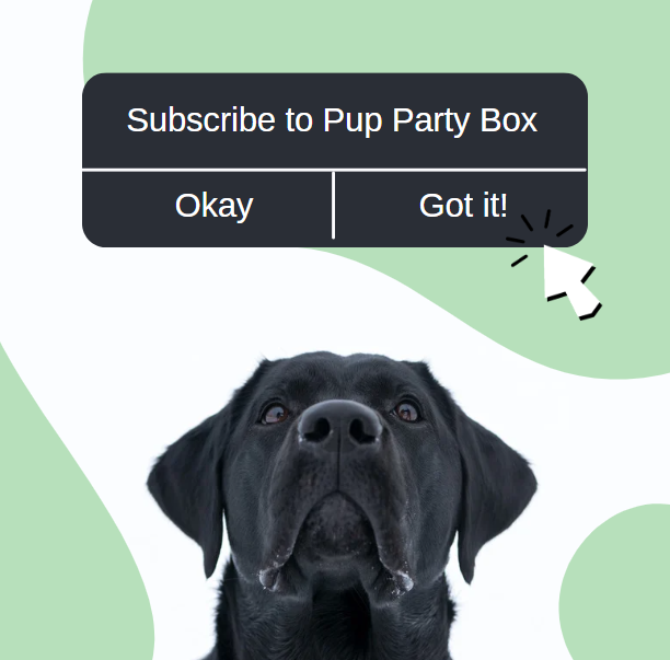 Pup Party Box